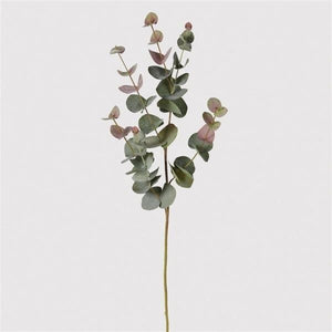 Blush Eucalyptus Stem - 2 Sizes