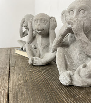 Cement Wise Monkeys
