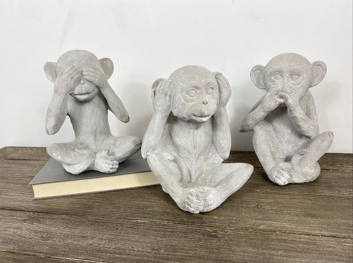 Cement Wise Monkeys
