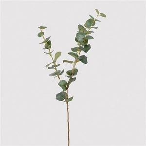 Natural Eucalyptus Stem