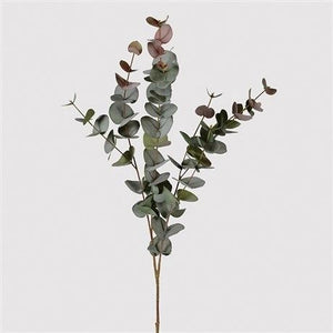 Blush Eucalyptus Stem - 2 Sizes