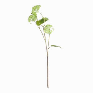 Green Vibernum Stem