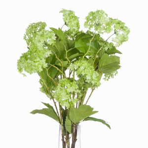 Green Vibernum Stem