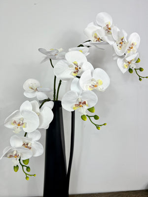 White Orchid Stem