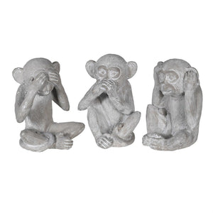Cement Wise Monkeys