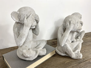 Cement Wise Monkeys
