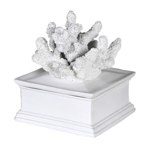 Gordin Coral Box