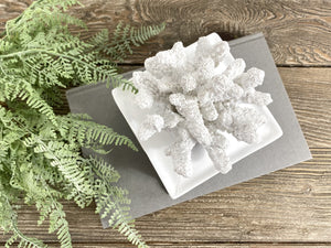 Gordin Coral Box