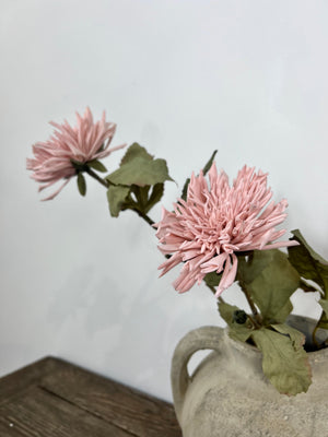 Dusky Pink Dahlia
