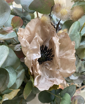 Dusky Pink Poppy Stem