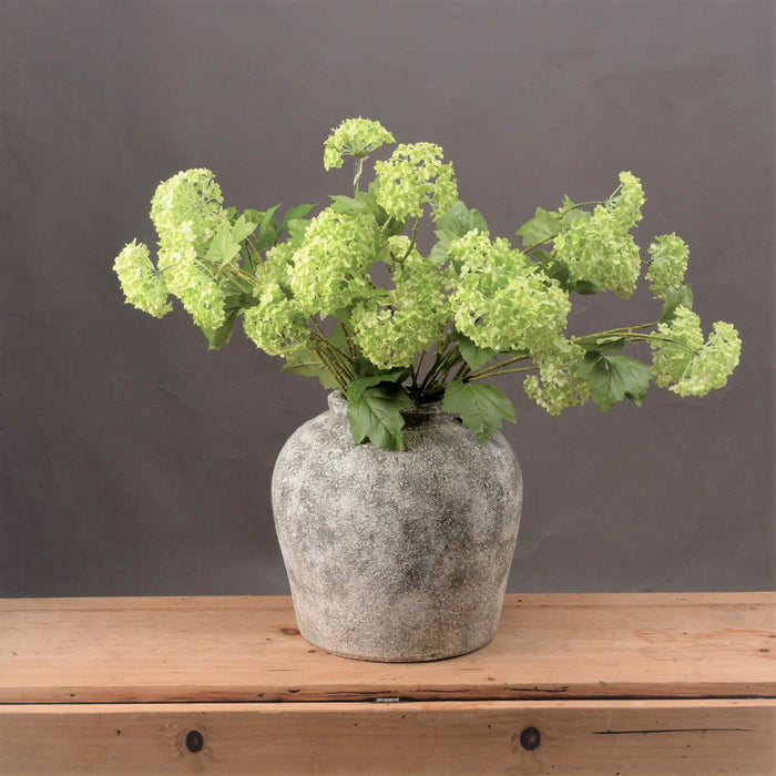 Green Vibernum Stem