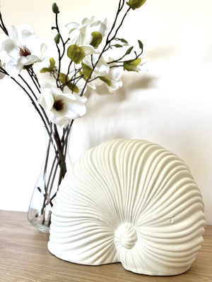 White Shell Ornament