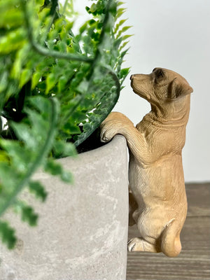 Labrador Pot Hanger