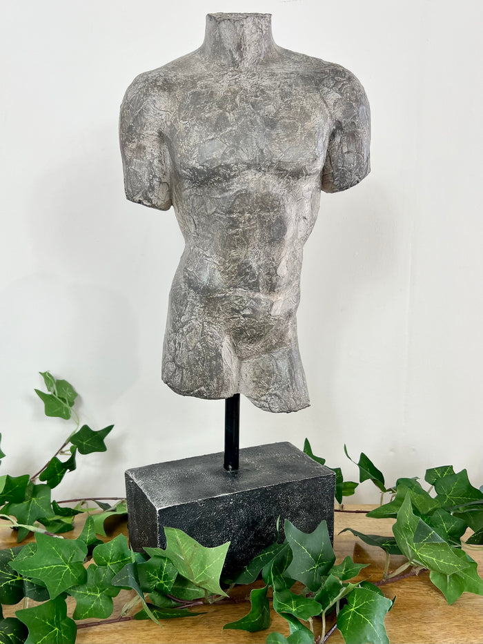 Male Torso on Stand