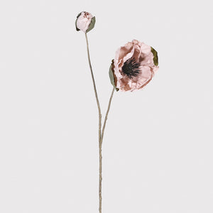 Dusky Pink Poppy Stem