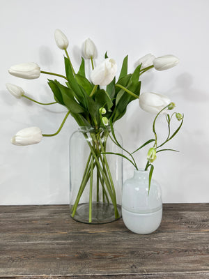 Aloe Apothecary Vase - 3 Sizes