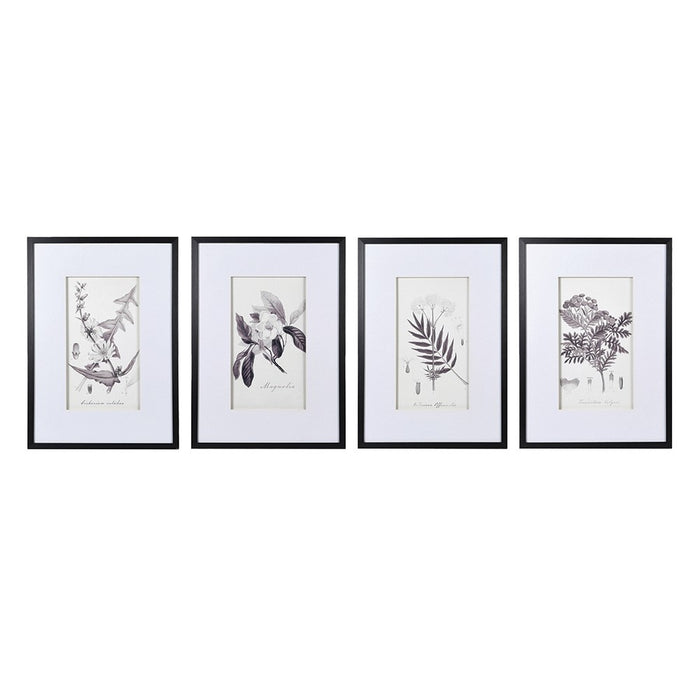 Renzow Botanical Prints - Set of 4