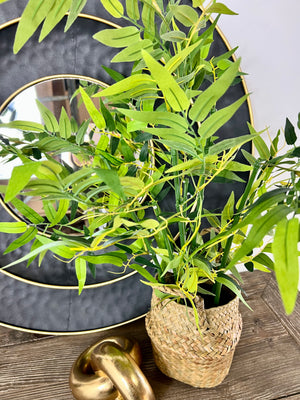 Faux Bamboo in Rattan Basket