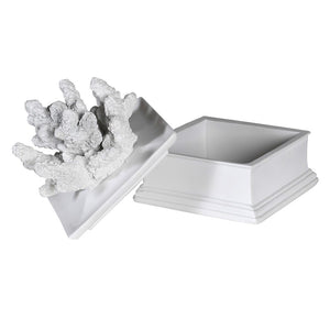 Gordin Coral Box