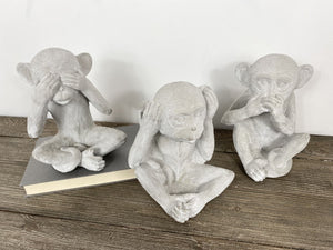 Cement Wise Monkeys