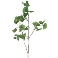 Tall Ginkgo Branch