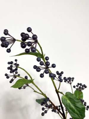 Viburnum Berry Stem