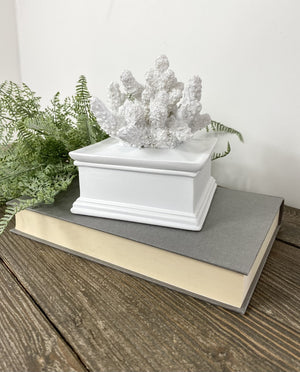 Gordin Coral Box