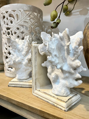 Coral Bookends