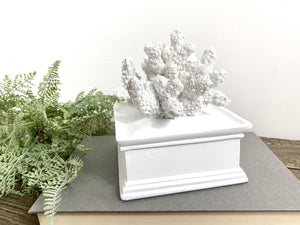 Gordin Coral Box