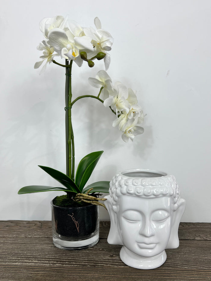 Orchid With Glass Pot